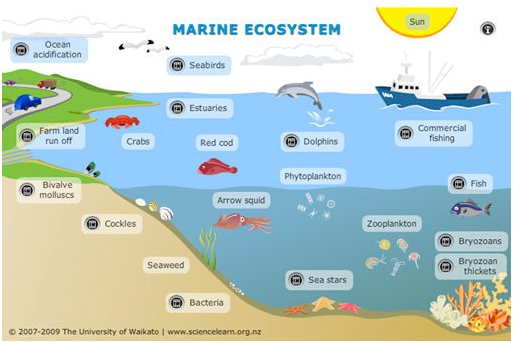 Ekosistem Air Laut
