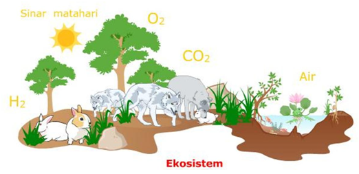 Organisasi kehidupan dalam ekosistem yang merupakan suatu kumpulan individu sejenis berada pada temp