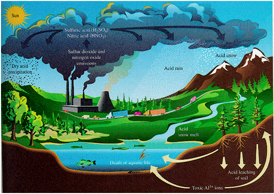 Gas karbon monoksida merupakan gas pencemar udara yang dapat mengakibatkan